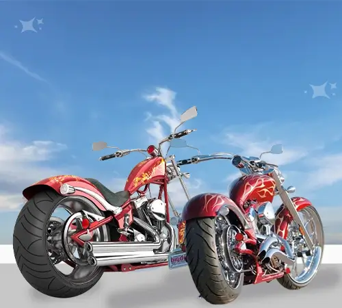 Overview of Big Dog Bikes