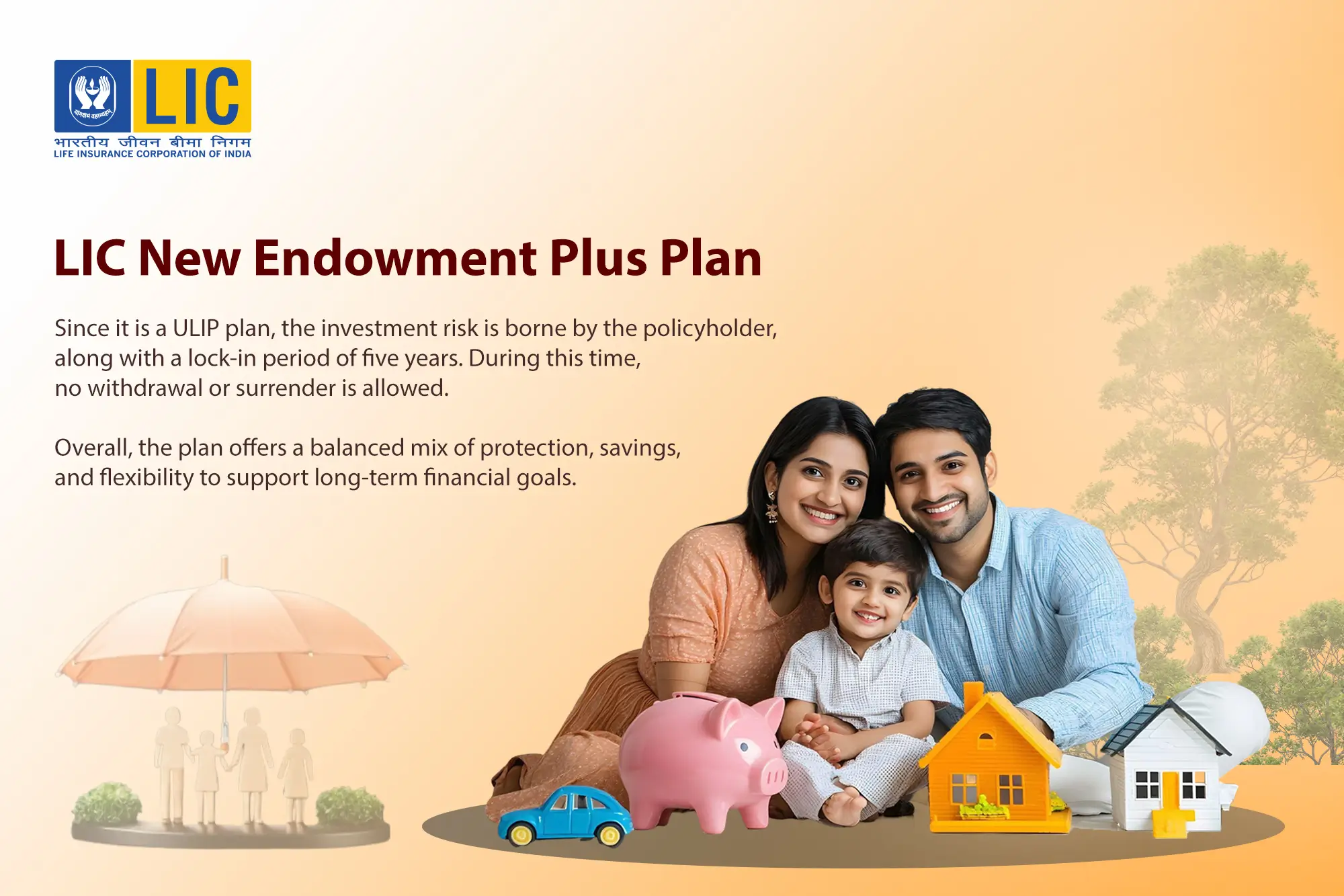 Who Should Buy the LIC New Endowment Plus Plan?