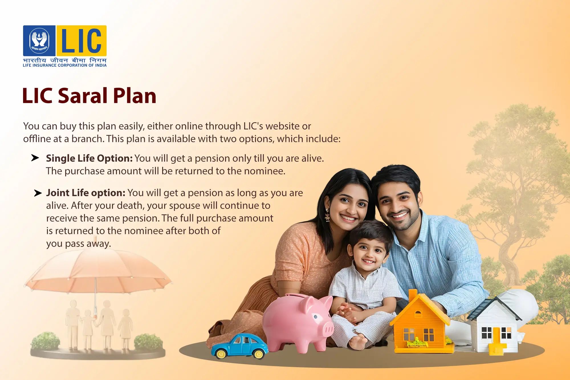 Who Should Buy the LIC Saral Pension Plan?