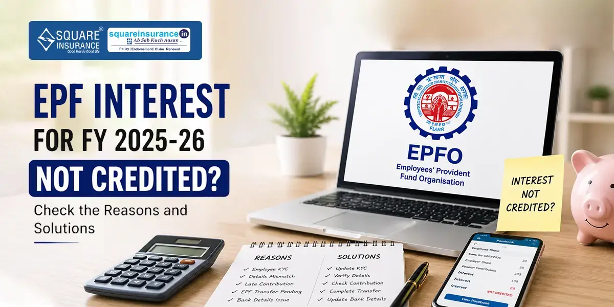 EPF Interest for FY 2025-26 Not Credited? Check the Reasons and Solutions 