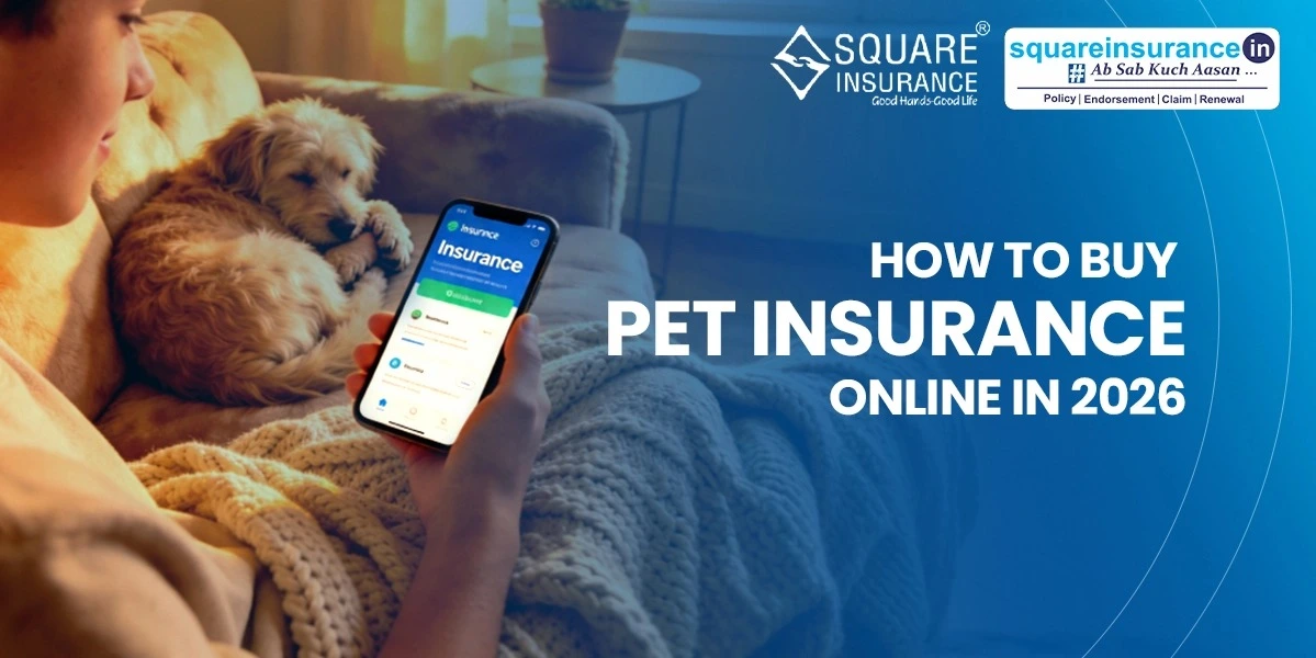 How to Buy Pet Insurance Online in 2026 